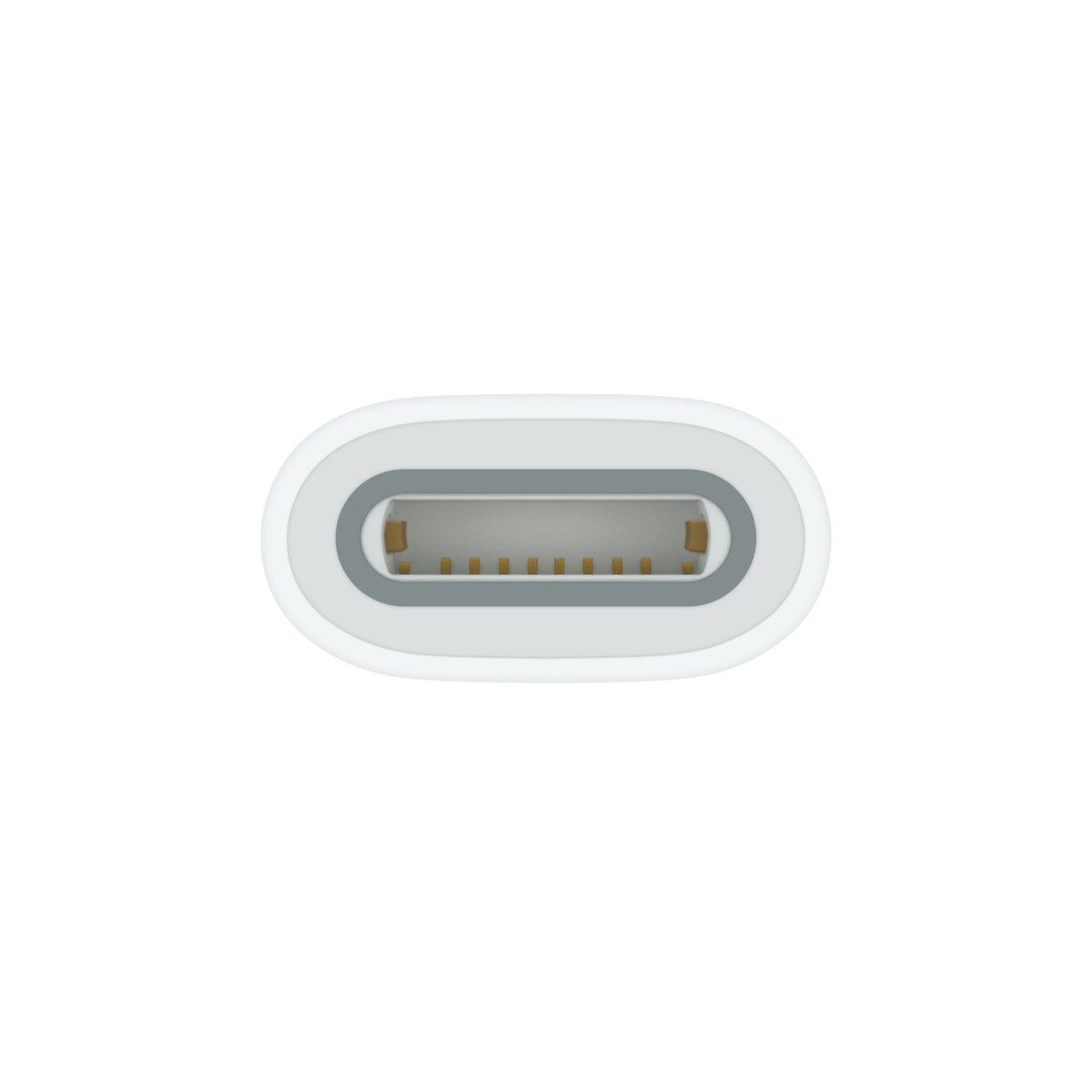 Apple Pencil Adapter, White, USB-C